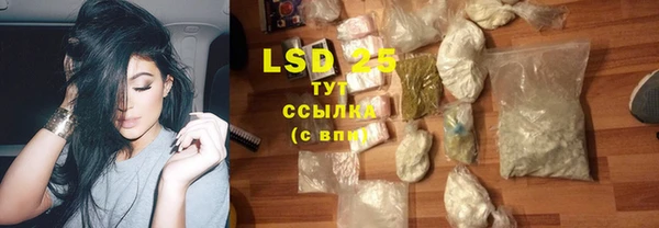 стафф Аркадак