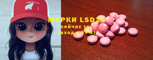 стафф Аркадак